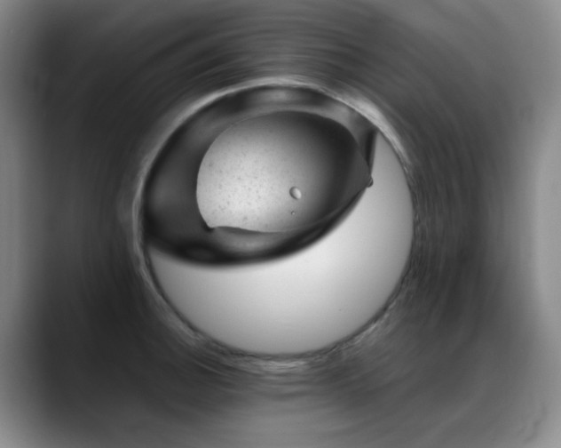 X0000089451140200706151427