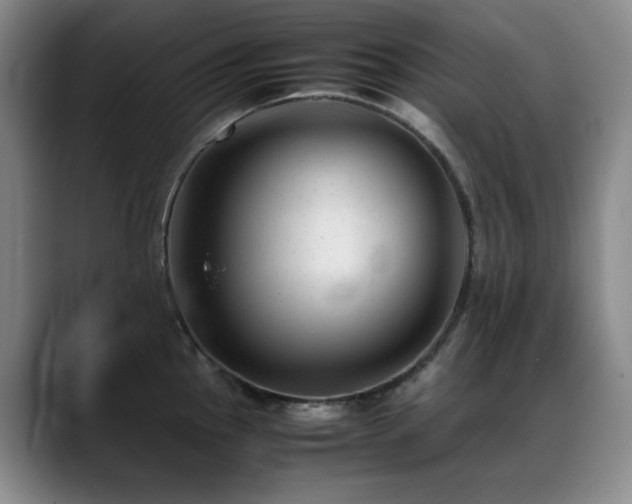 X0000089451145200706151427