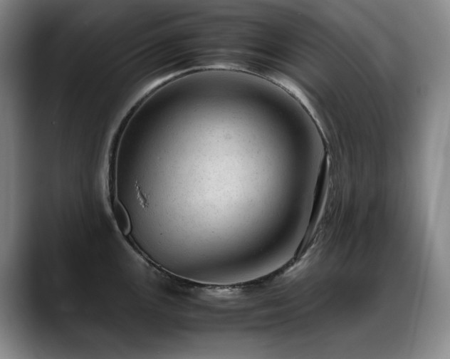 X0000089451147200706151427