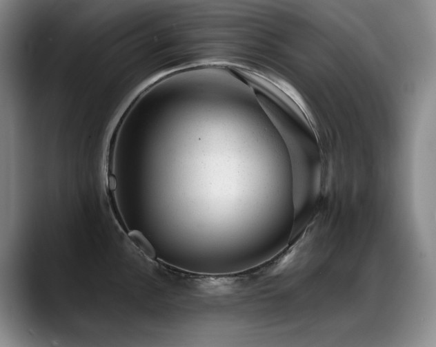 X0000089451148200706151427