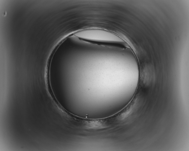X0000089451149200706151427