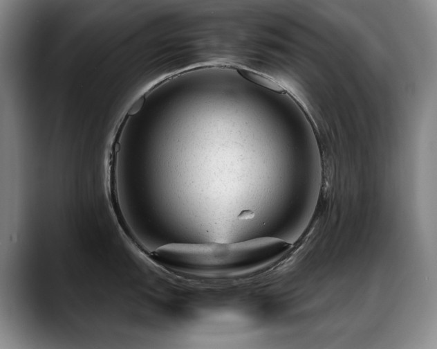 X0000089451151200706151427