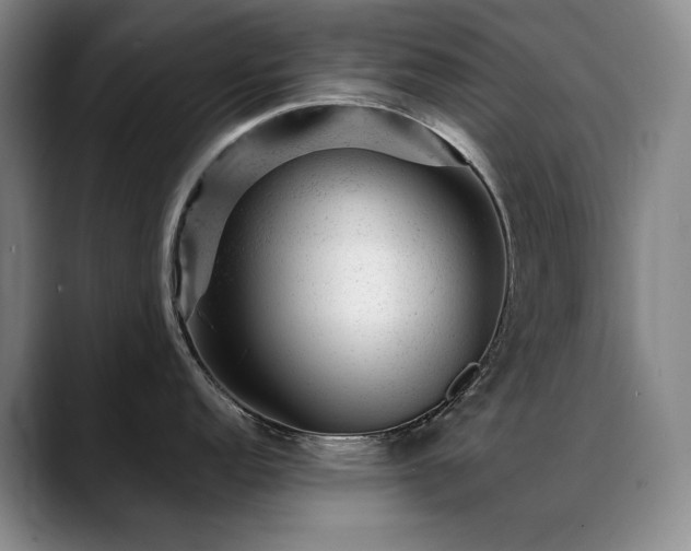 X0000089451152200706151427