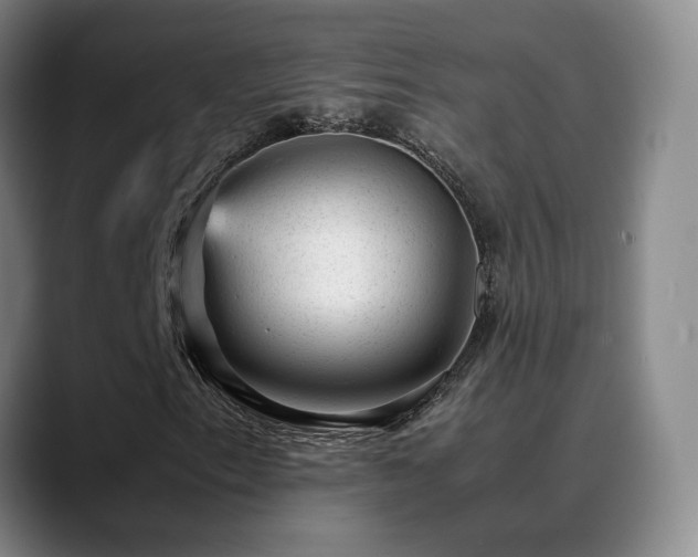 X0000089451153200706151426