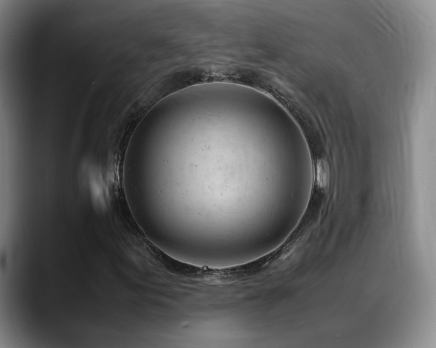 X0000089451155200706151426