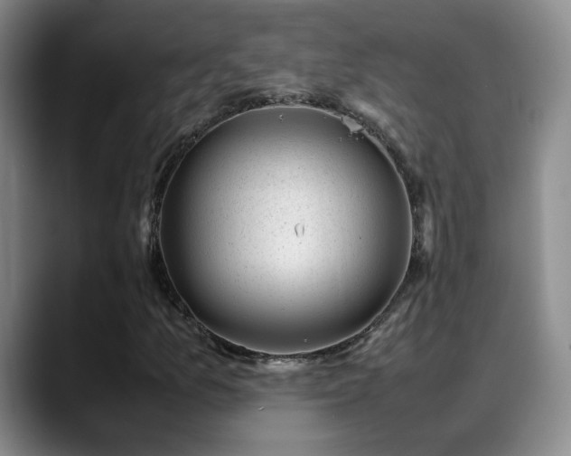 X0000089451157200706151426