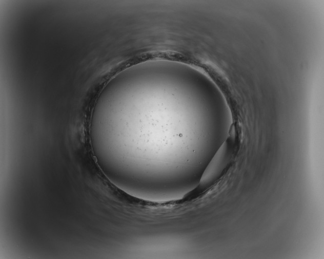 X0000089451159200706151426