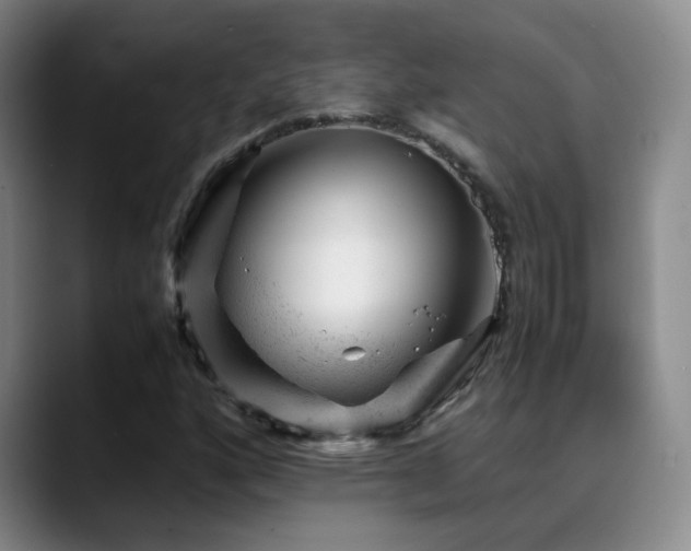 X0000089451160200706151426