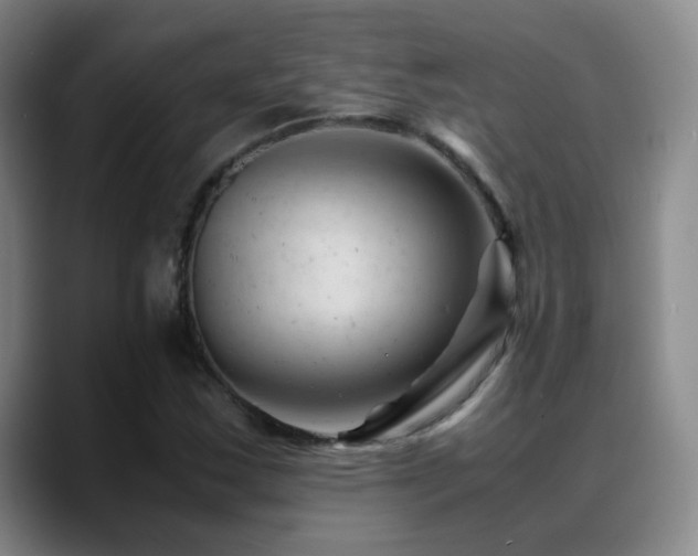 X0000089451163200706151426