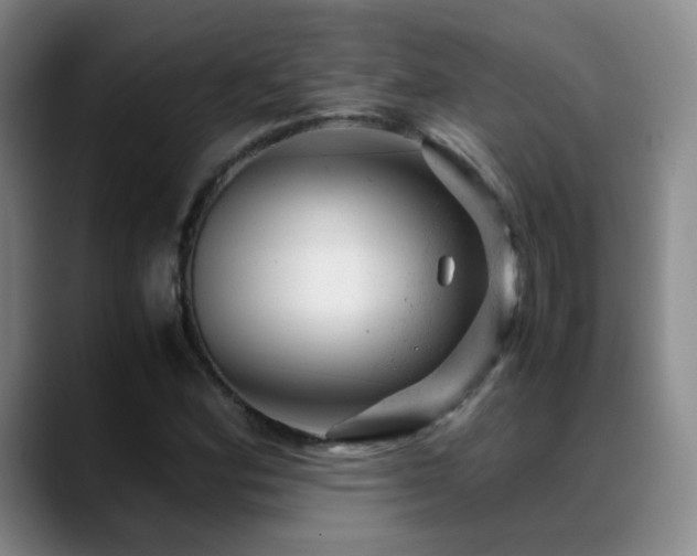 X0000089451164200706151426