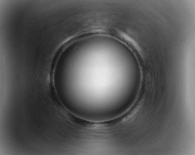 X0000089451166200706151426