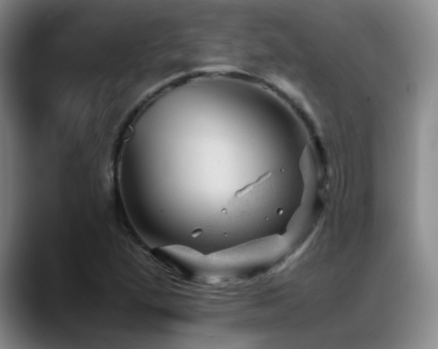 X0000089451167200706151426