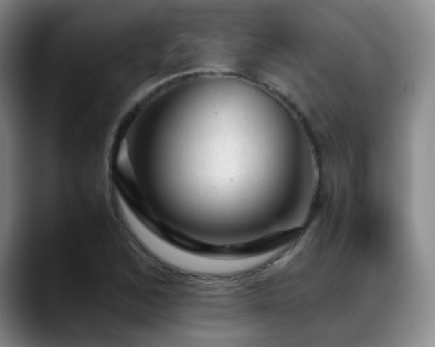 X0000089451168200706151426