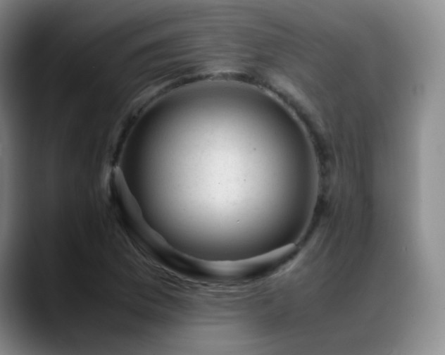 X0000089451169200706151426