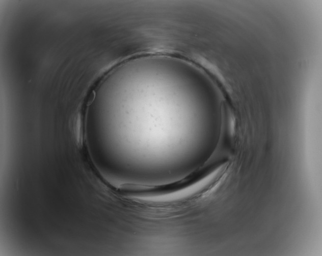 X0000089451171200706151426