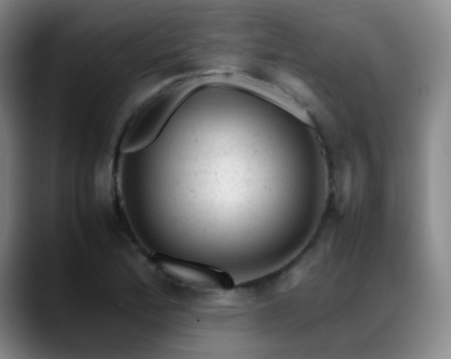 X0000089451172200706151426