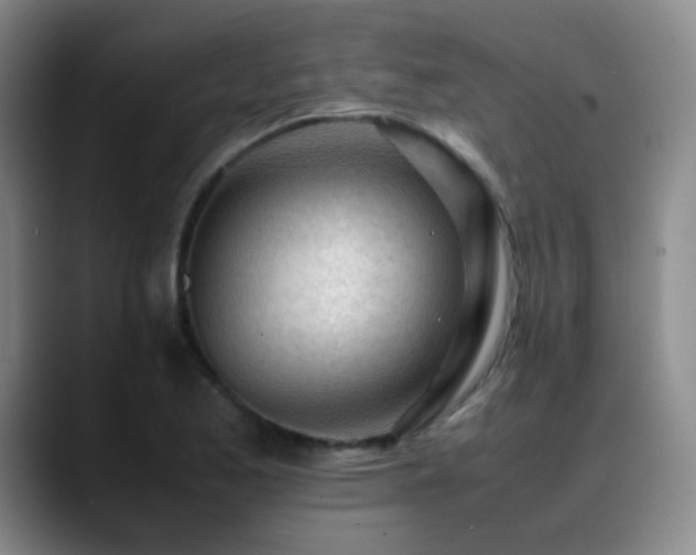 X0000089451173200706151426
