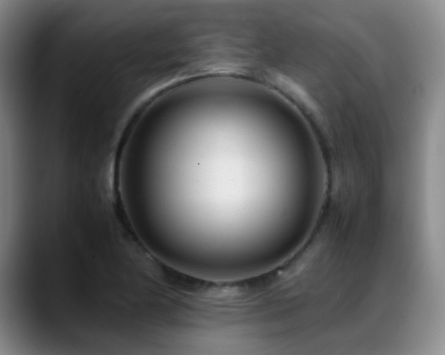 X0000089451174200706151426
