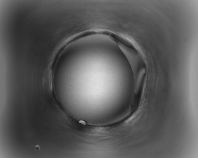 X0000089451175200706151426