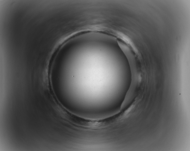 X0000089451176200706151426