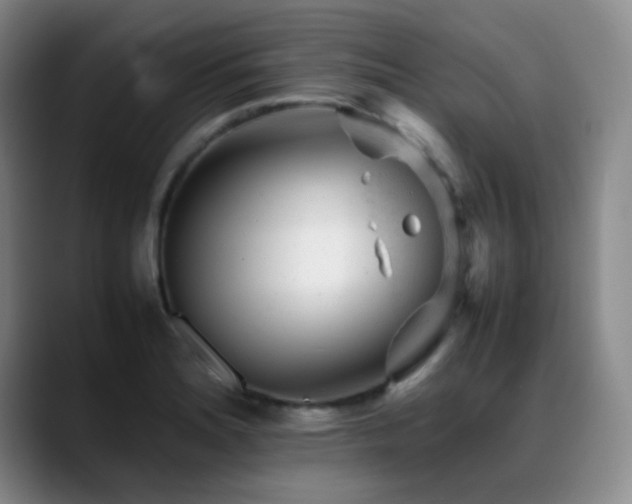 X0000089451180200706151426