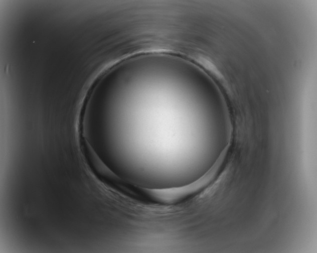 X0000089451181200706151426