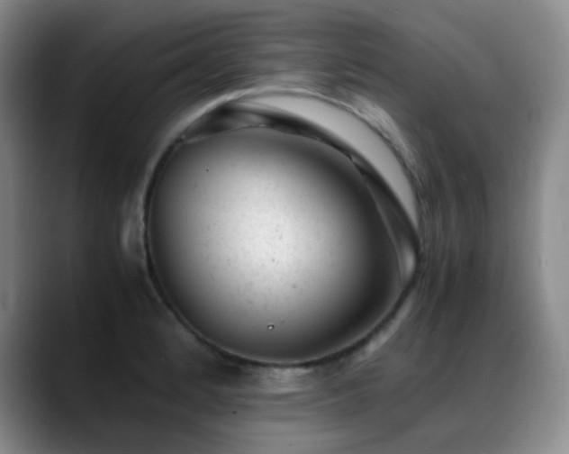 X0000089451184200706151426