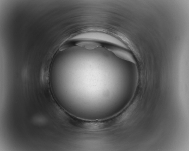 X0000089451185200706151426