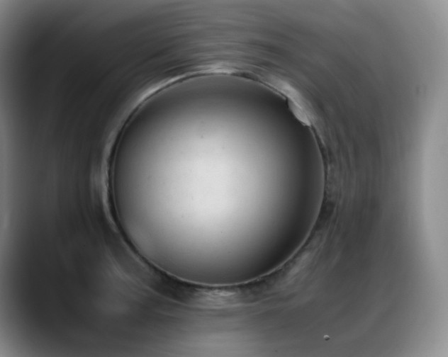 X0000089451187200706151426