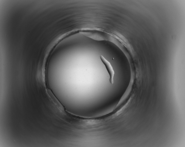 X0000089451188200706151426