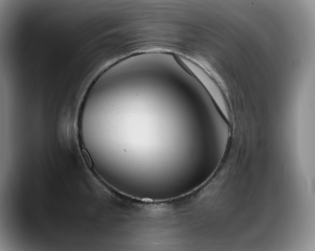 X0000089451189200706151426