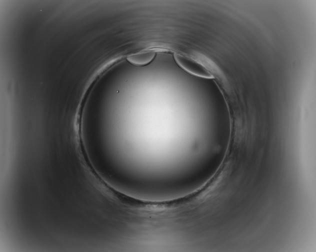X0000089451190200706151426