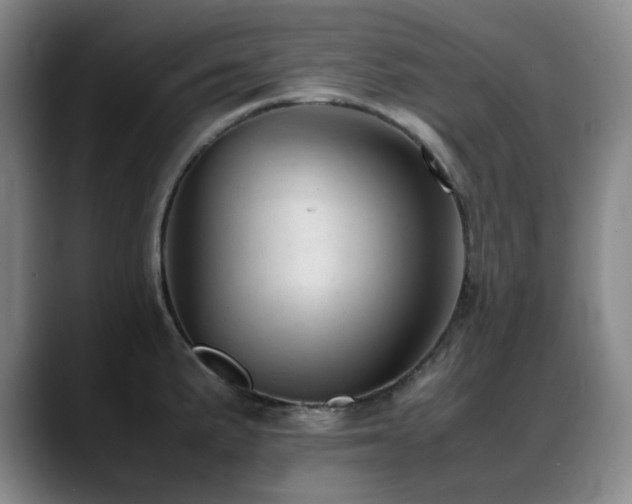 X0000089451191200706151426