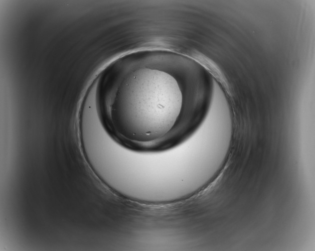 X0000089451192200706151426