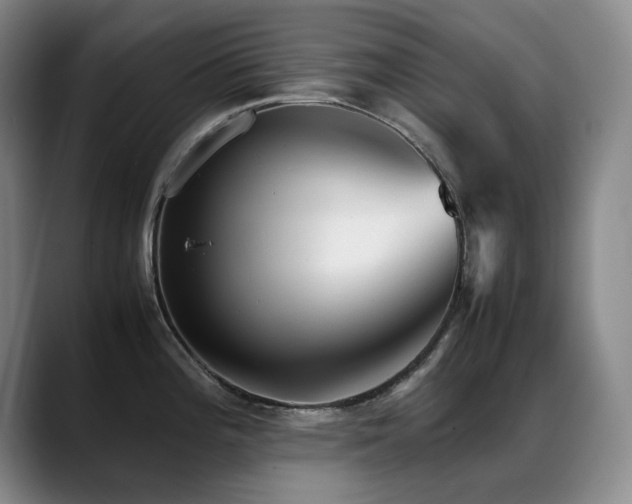 X0000089451196200706151426
