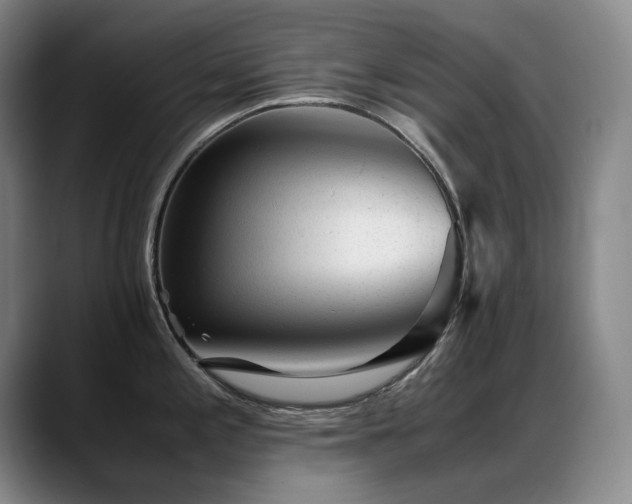 X0000089451197200706151426