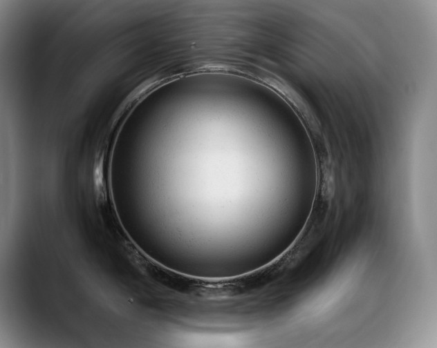 X0000089451198200706151426