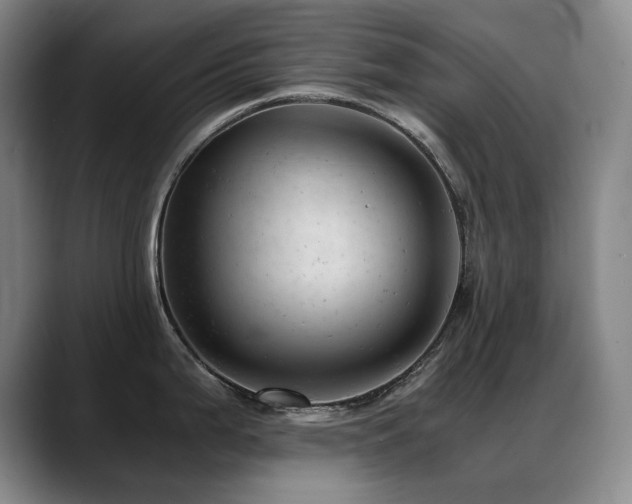 X0000089451199200706151426