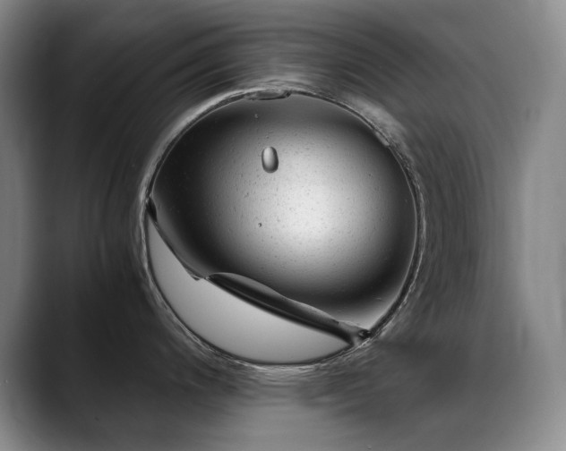 X0000089451200200706151426