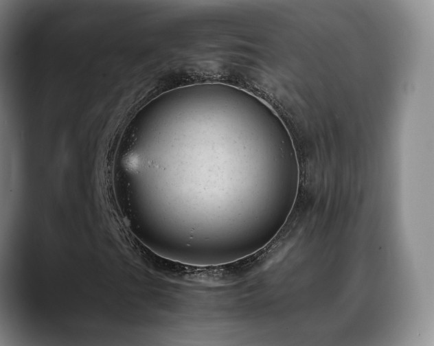 X0000089451201200706151425