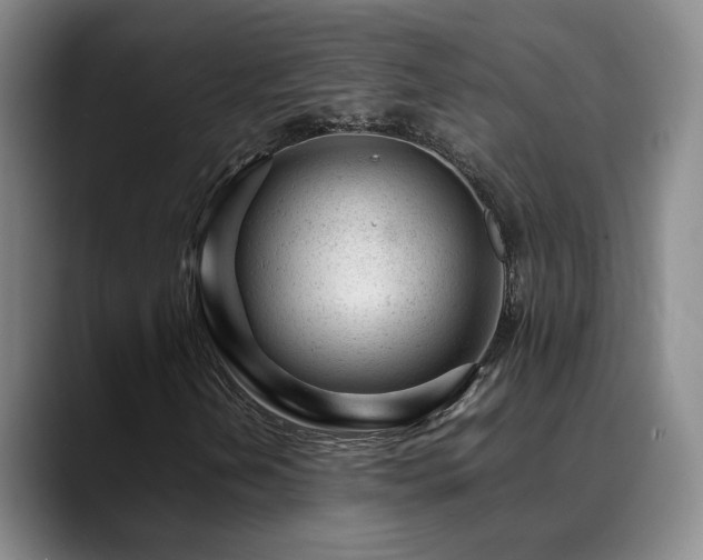 X0000089451202200706151425