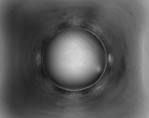 X0000089451203200706151425