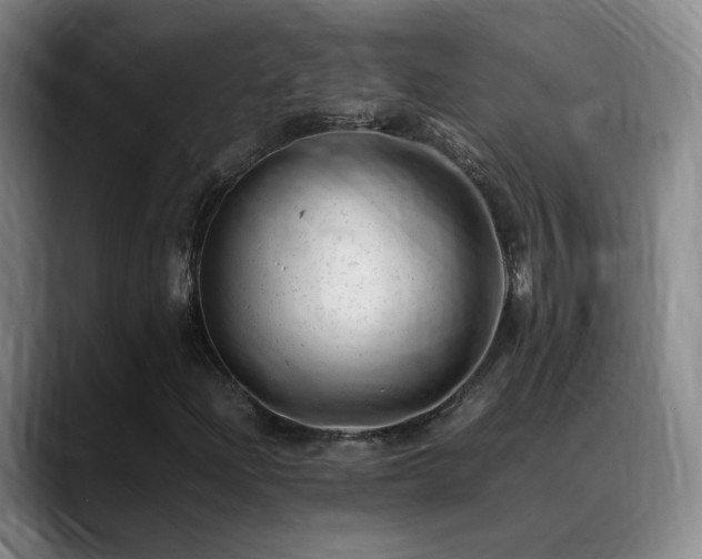 X0000089451204200706151425