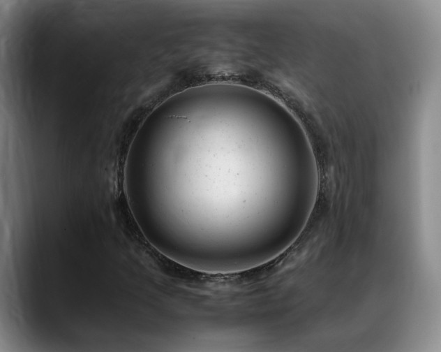 X0000089451205200706151425