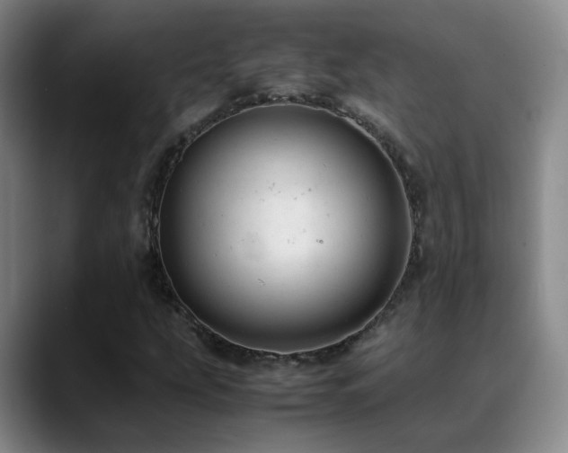 X0000089451207200706151425