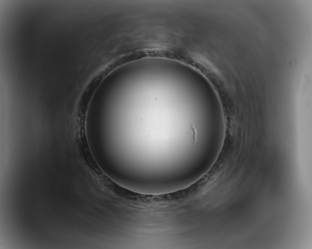 X0000089451208200706151425