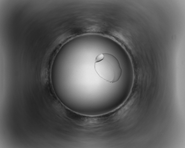X0000089451211200706151425