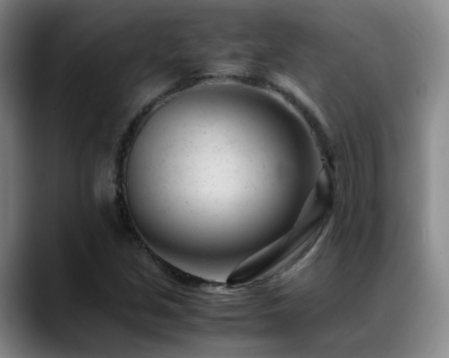 X0000089451213200706151425