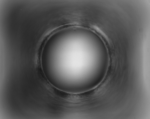 X0000089451215200706151425