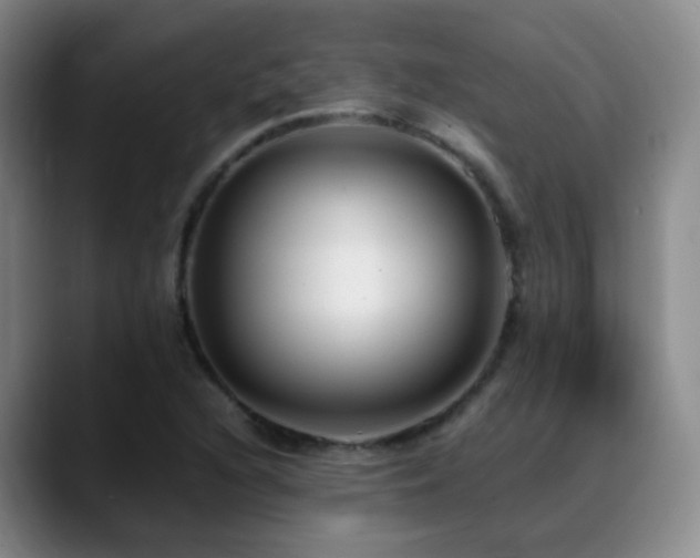 X0000089451216200706151425